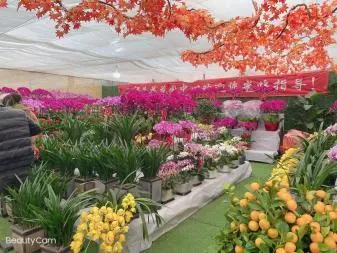 宝鸡市碧天园林工程