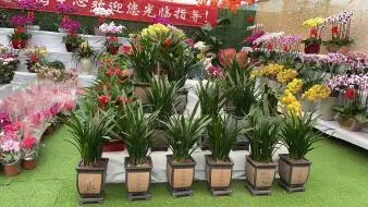 宝鸡市碧天园林工程